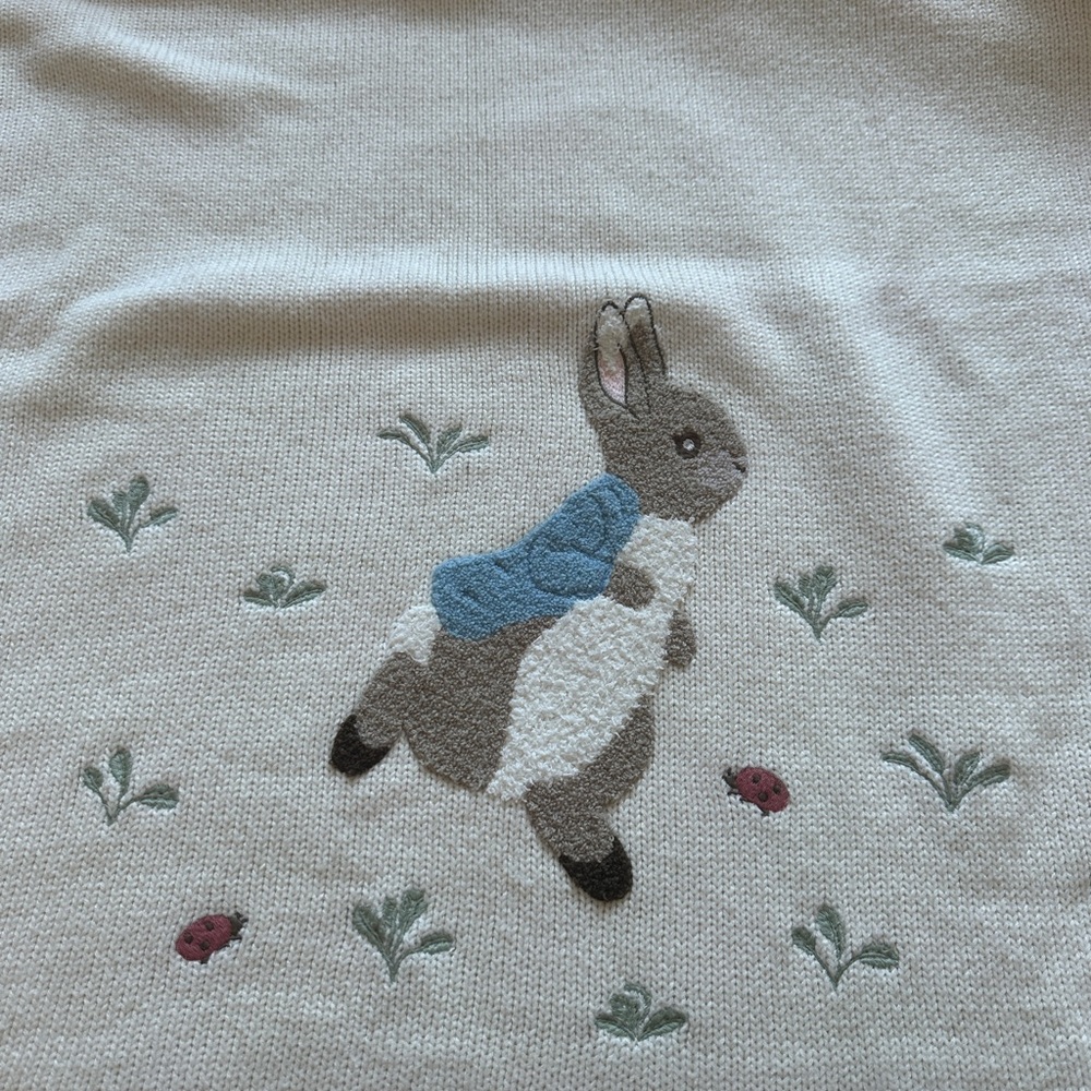 Pottery Barn Peter Rabbit Sherpa Knit Blanket